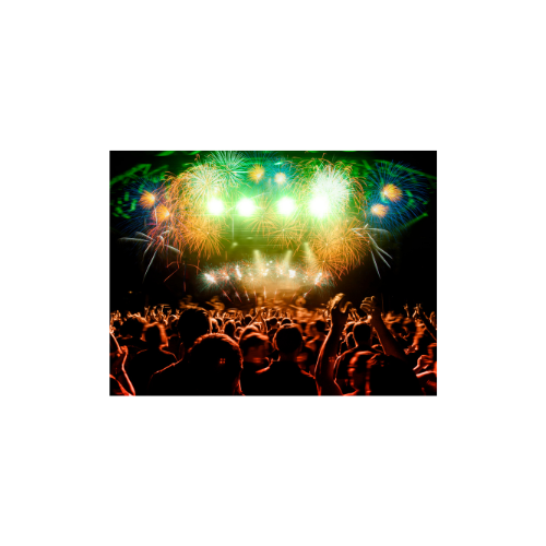 Events (sports, festivals, concerts, carnivals)