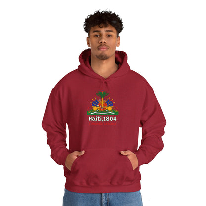 Haïtiaanse vlag pullover hoodie 