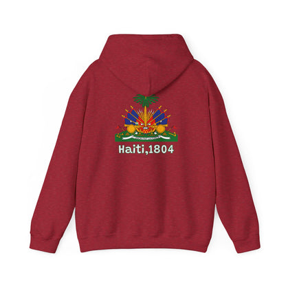 Haïtiaanse vlag pullover hoodie 