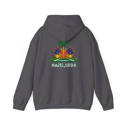 Haïtiaanse vlag pullover hoodie 