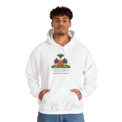 Haïtiaanse vlag pullover hoodie 