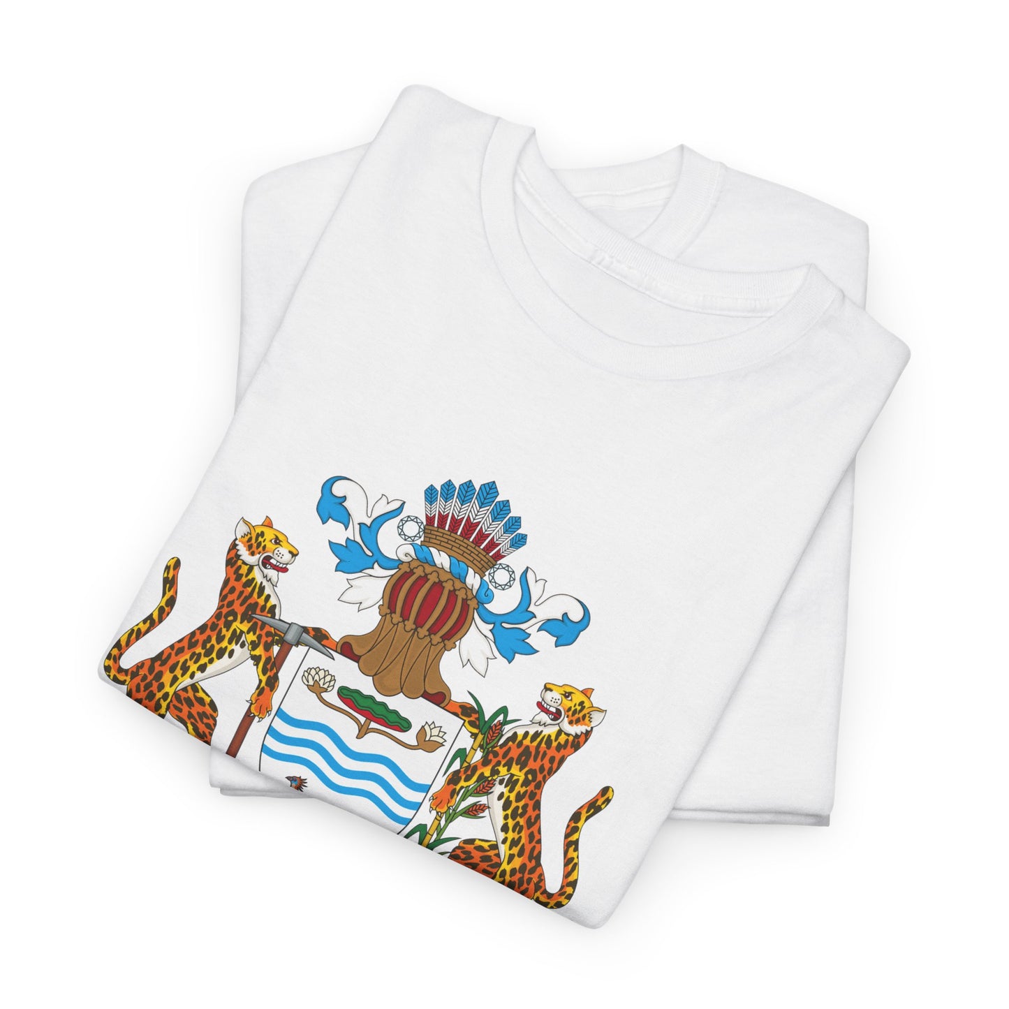 Unisex Heavy Guyana Cotton Tee