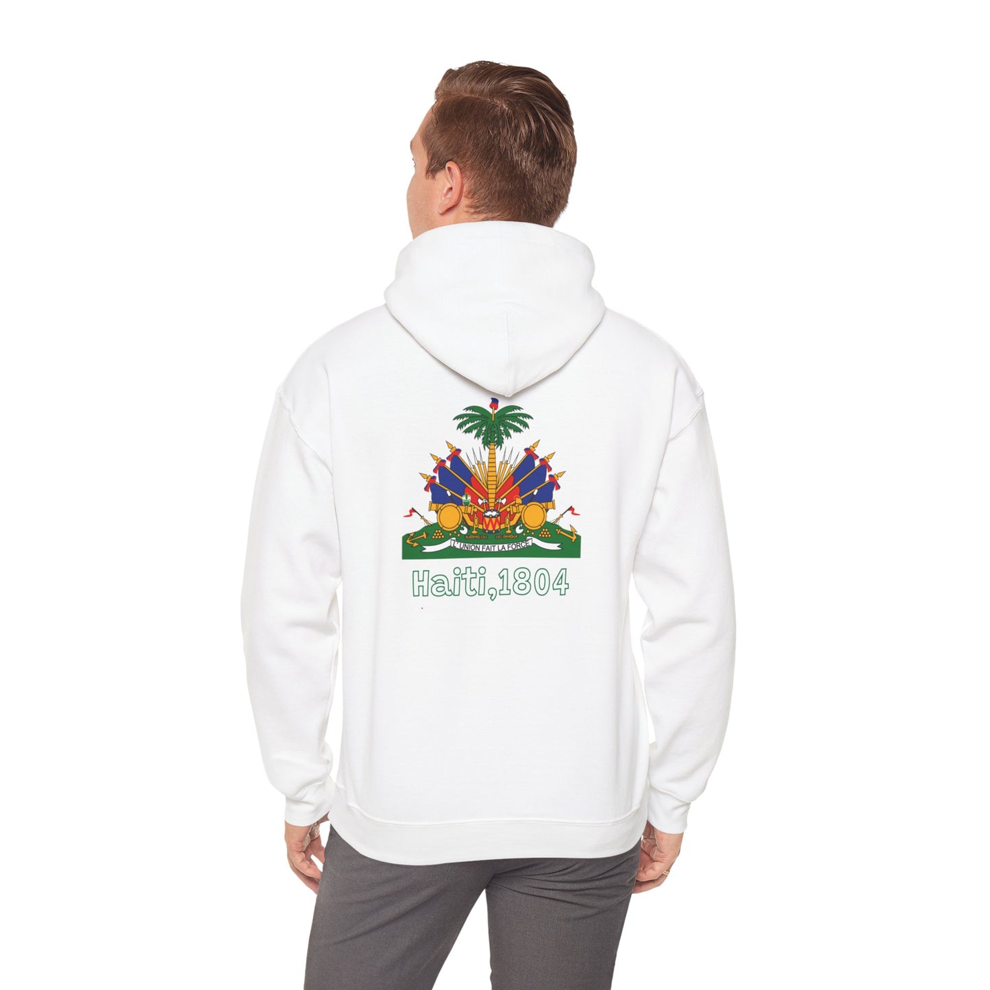 Haïtiaanse vlag pullover hoodie 