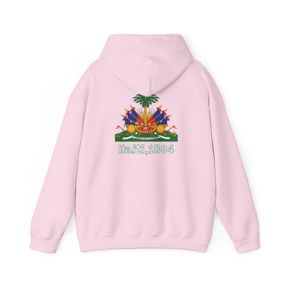 Haïtiaanse vlag pullover hoodie 