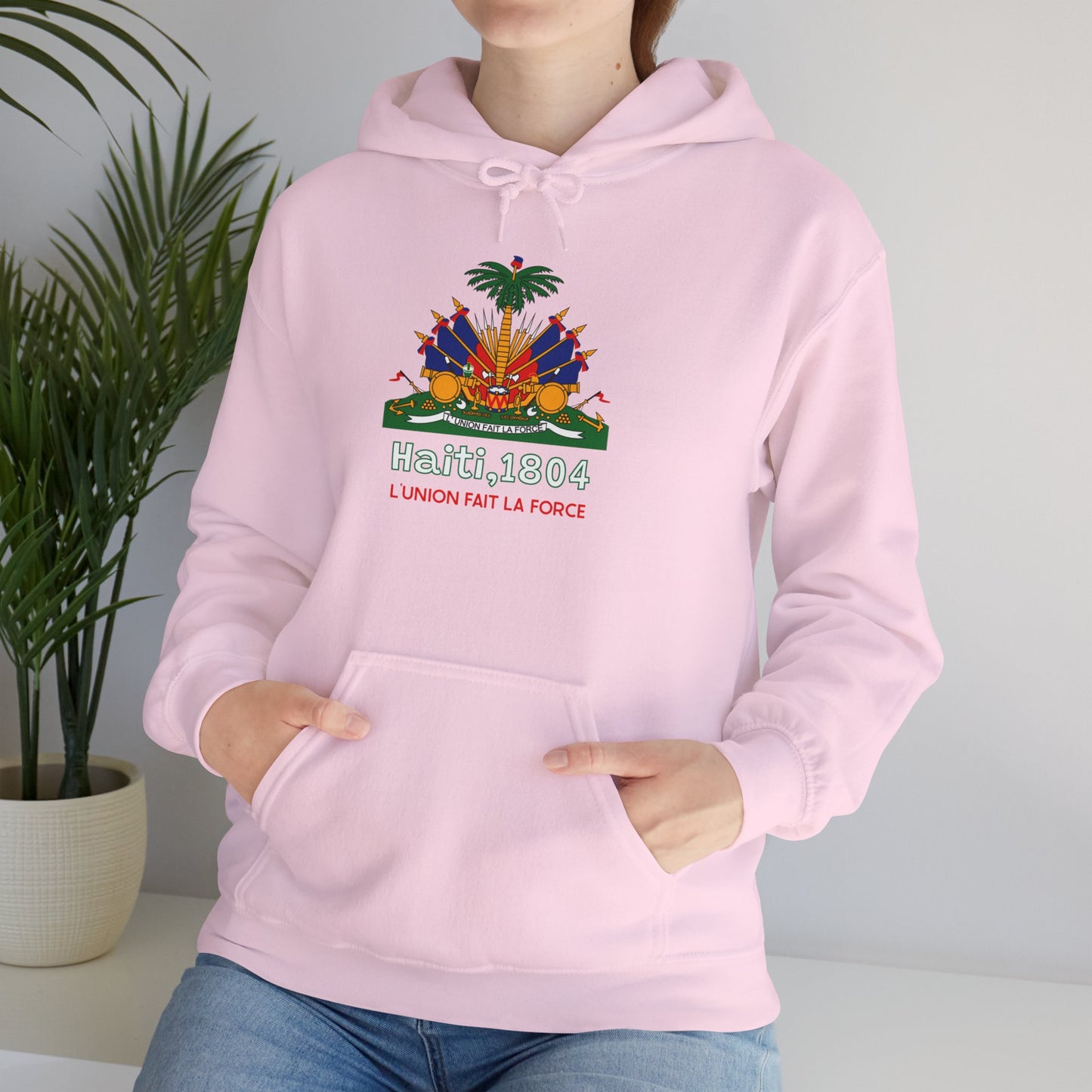 Haïtiaanse vlag pullover hoodie 