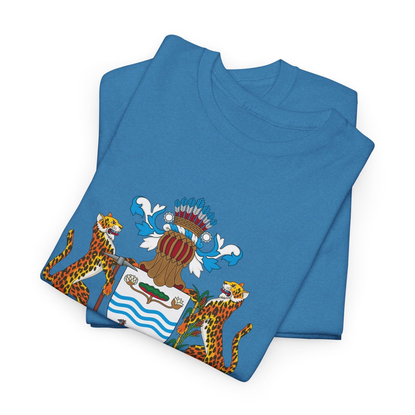 Unisex Heavy Guyana Cotton Tee