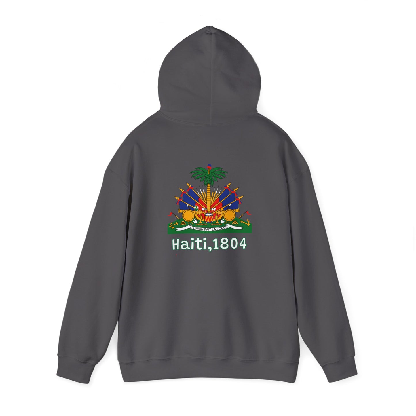 Haïtiaanse vlag pullover hoodie 